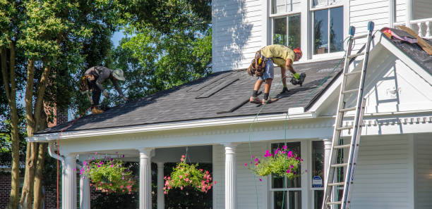 Best Roof Gutter Cleaning  in Arcola, VA