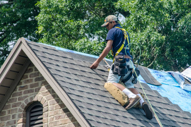 Quick and Trustworthy Emergency Roof Repair Services in Arcola, VA